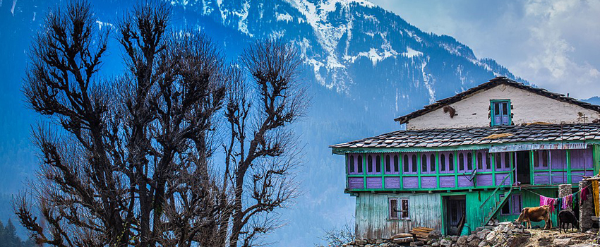 Shimla Manali Honeymoon Packages, Shimla Manali Tour Package